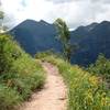 Jud Weibe Trail, Telluride, Colorado.