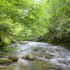 Deep Creek, Great Smoky Mountains NP.