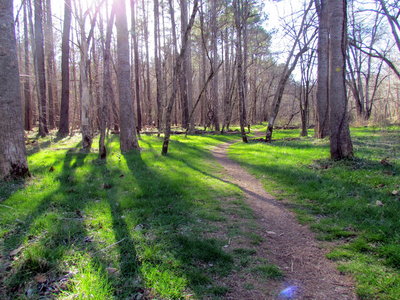 Laurel Bluffs Trail.