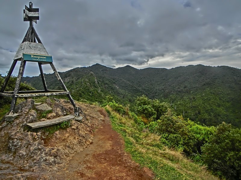 Ruapane Trig looking up to Pirongia Summit.