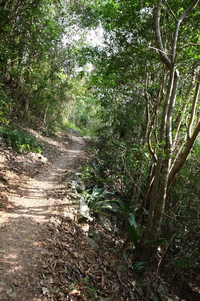 Heading up the Reef Bay Trail, Virgin Islands National Park, St. John, US Virgin Islands (USVI). with permission from virt_