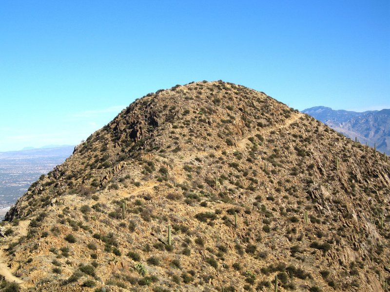 The summit of Wasson Peak rises above the last trail spur. with permission from John McCall