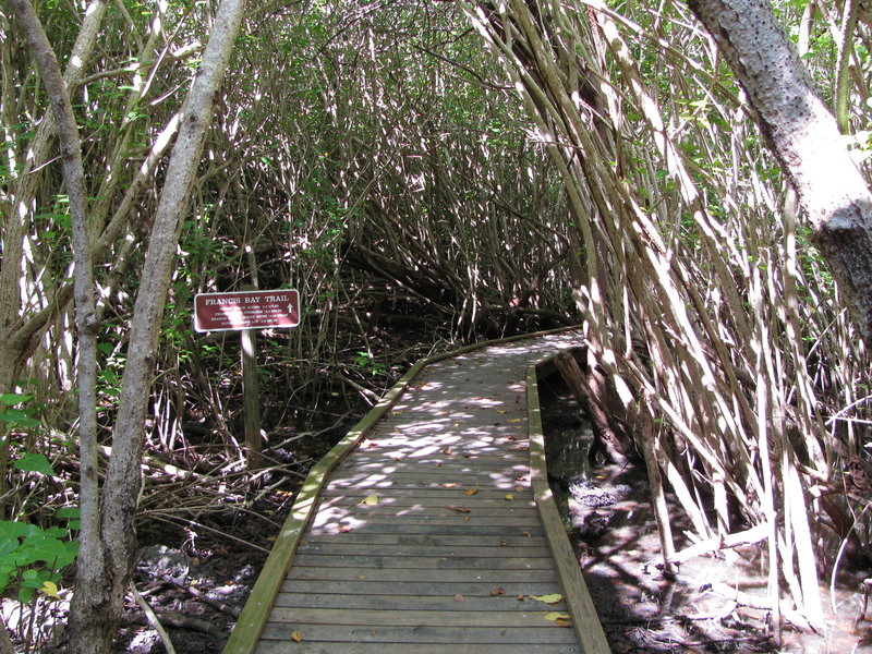 Boardwalk on Francis Bay Trail.