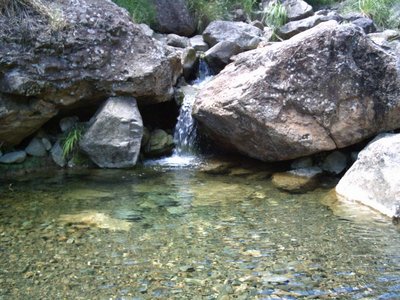 Running water below Tui Mine (unsafe).
