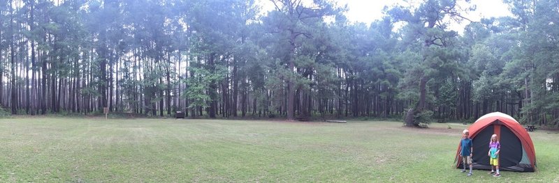 Bluff Campground panorama - a wonderful 6-site wide-open clearing about 1 mile (10min) walk from the Visitor Center.