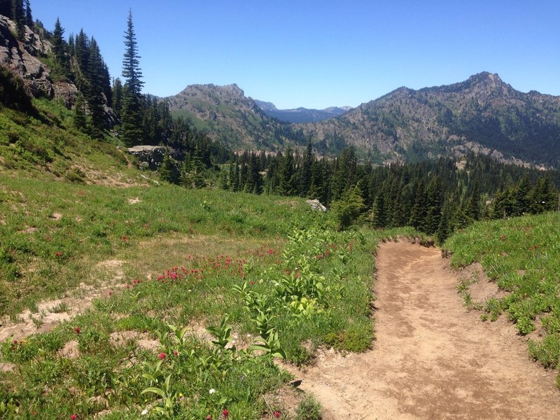 Looking back on the trail, you can just see the trail back to the little lake through the trees.