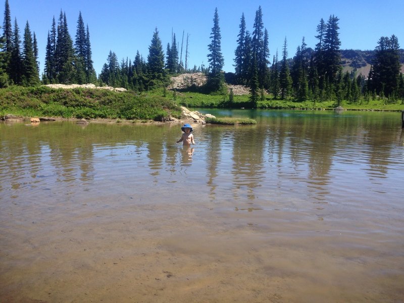 Cole (2.5 yrs) was 3' tall here, you can see the depth in the west portion of the lake. The eastern portion is deeper.