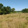 Prairie with a view of lake.