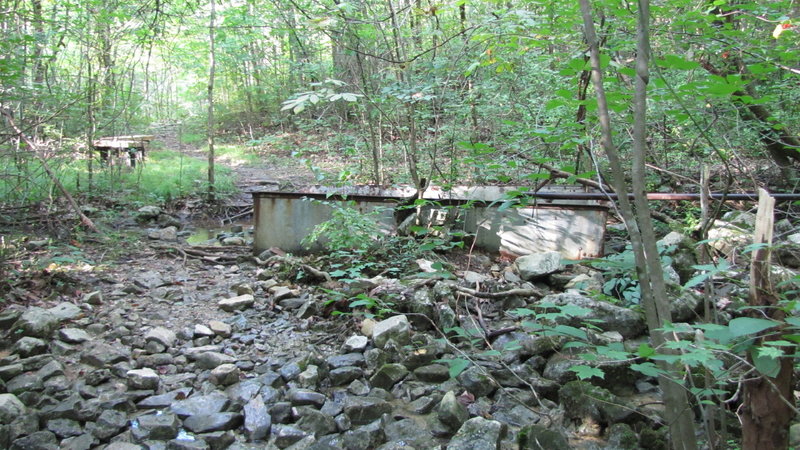 Fagan Spring, along the Fagan Springs Trail.