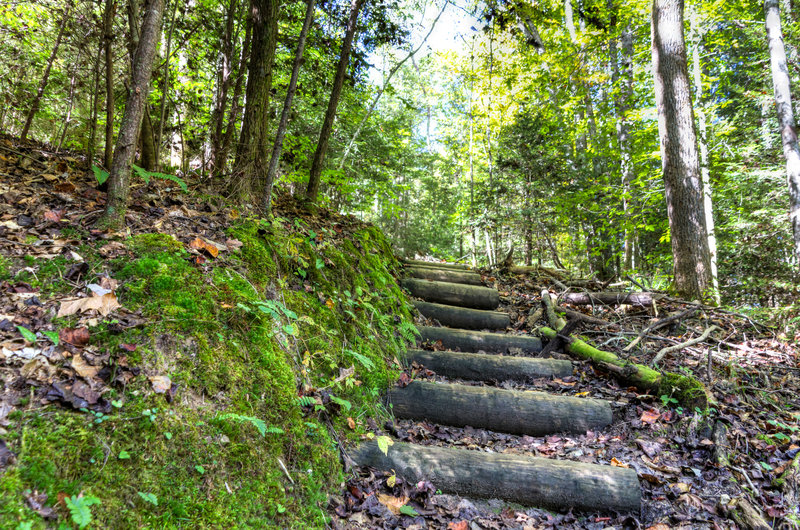 Head up the stairs on Twin Arches Loop.