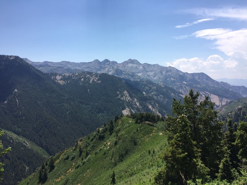 View from the Top of Butler Fork Trail.  Photo on Aug 2, 2016