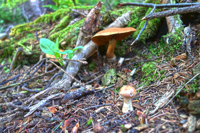 Along North Rock Creek.