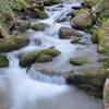 Stream feeding Big Creek.