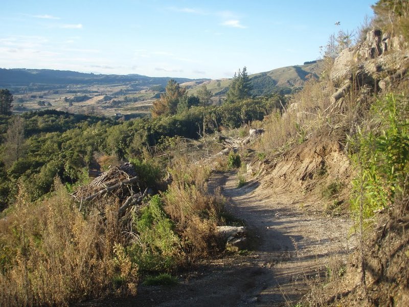 A typical section of the trail ascending out of Kinloch.