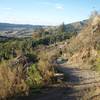 A typical section of the trail ascending out of Kinloch.