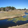 The marsh lands around Water of the Woods Spur.