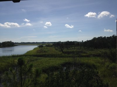 View of the marsh and St. John's River from the pavilion.