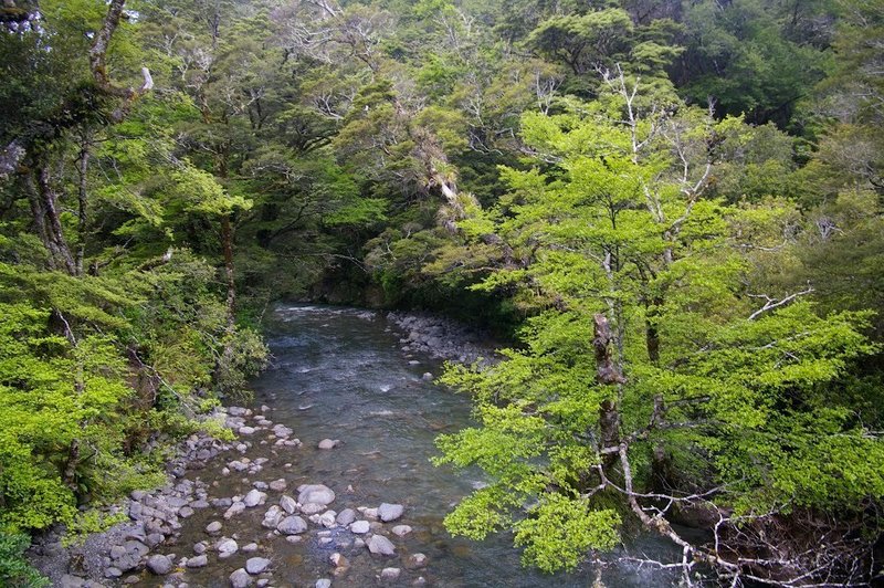 View of the Atiwhakatu River from the first bridge.