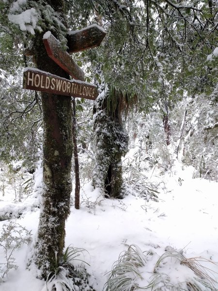 Historic "Old Sign Post" in the snow.