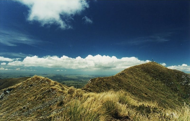 View to Mt. Holdsworth Summit.