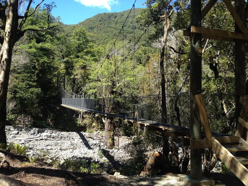 The longest of the wire rope bridges on the Atiwhakatu Trail.