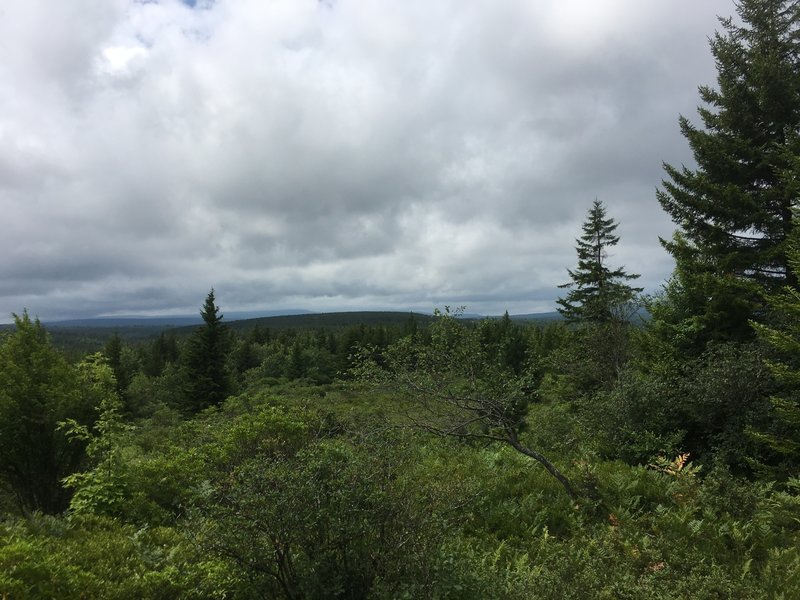 Great view near the trailhead at SR 75.