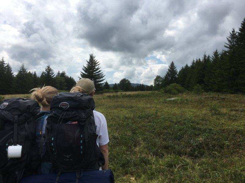 Red Creek Trail vista.