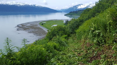 Making the descent to Gold Creek on a sunny day in Valdez.