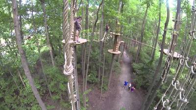 GoApe section of the park. Great family fun and one of the park's main attractions.
