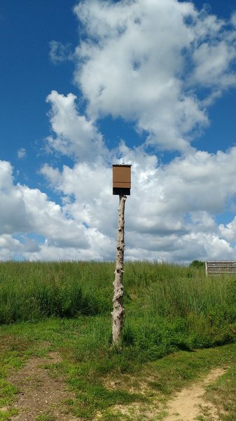 Wildlife viewing area.