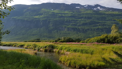 Looking west across the salmon stream near the ocean on Homestead Trail.