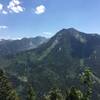 Avalanche chutes through the trees. Photo on Aug 9, 2016.