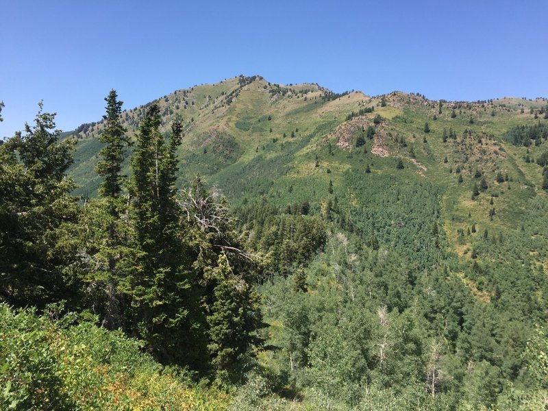 Looking to Gobbler's Knob. Photo on Aug 9, 2016.