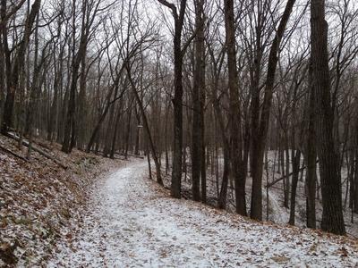 Trailrunning in the winter!