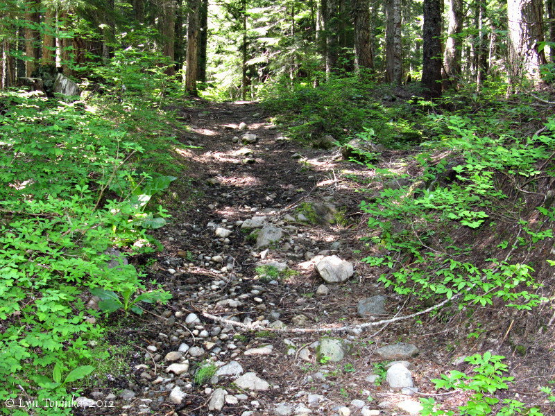 Barlow Trail - part of the original Oregon Trail.  Photo by Lyn Topinka