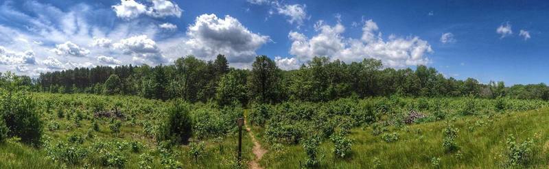 Where the Hartman Creek state Park ends and the Emmons  Wildlife refuge begins.