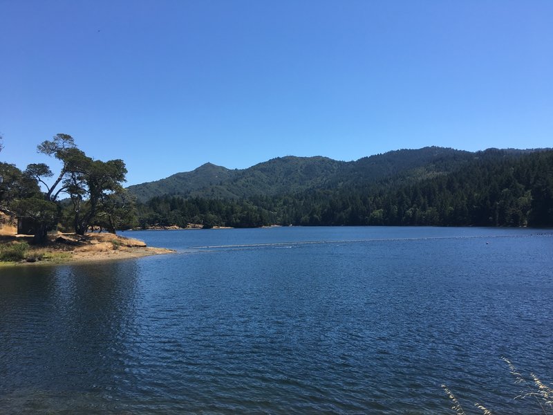 Mt Tam seen across Bon Tempe Lake