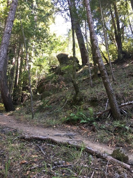 Coming down into a potential swimming hole!