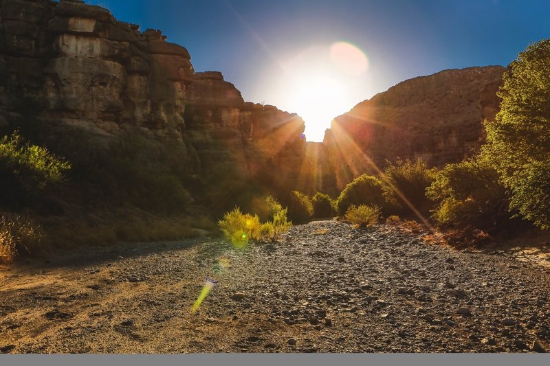 Dog Canyon Trail