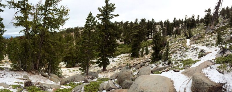 First snow of the season along the Tahoe Rim Trail.