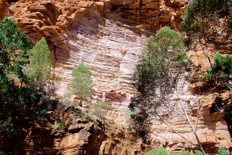 Walls of the gorge.