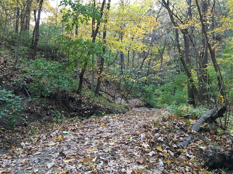 Blue Trail in the fall.