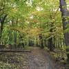 Blue Trail in the fall.