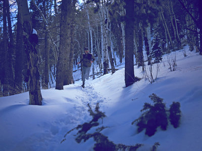 Early spring on the trail. Since the trail is mostly on the north face, this trail can stay cold for a while.