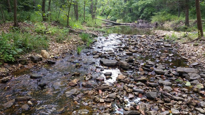 Little Paddy Creek crossing on the north-south connector of the Big Piney Trail.