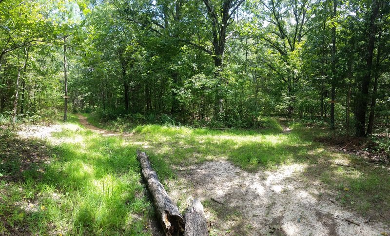 Connector to the north leg from the south leg of the Big Piney Trail.