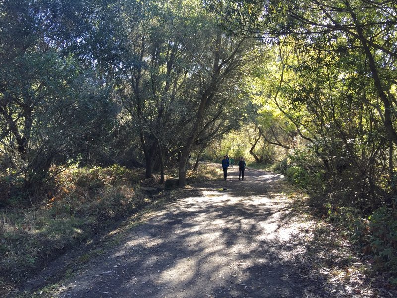 Hikers on this pleasant, short family trail, November, 2015.