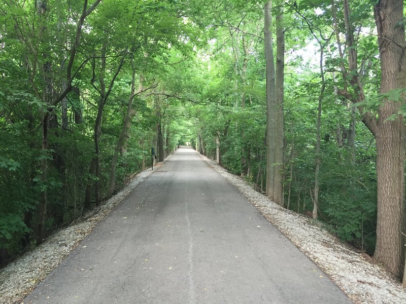 One of the very beautiful wooded areas of the trail.