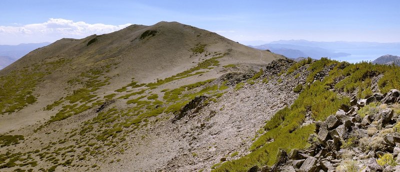 Mount Rose and its namesake summit trail seen from Church Peak.