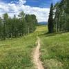 View looking toward Snowmass on descent.